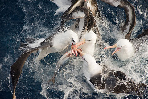 Picture 6 of 10 works won the Veolia international photography award