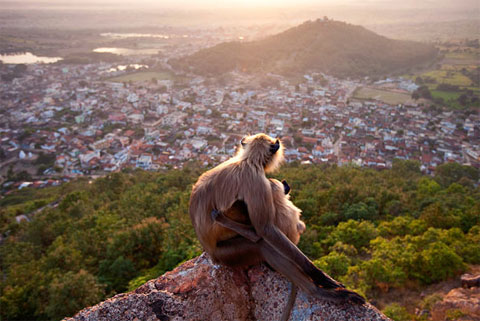 Picture 7 of 10 works won the Veolia international photography award