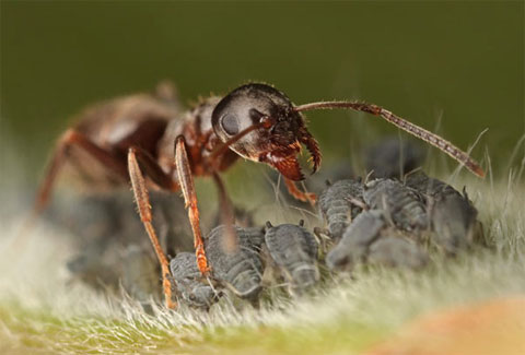 Picture 8 of 10 works won the Veolia international photography award
