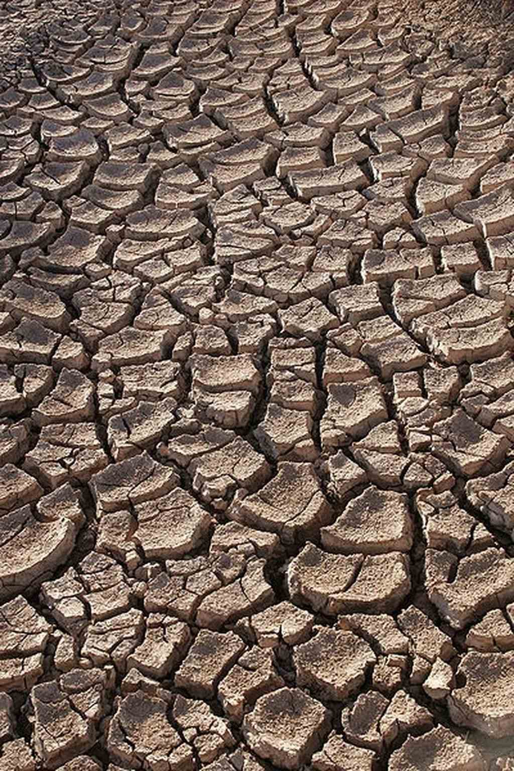 10-worst-droughts-around-the-world