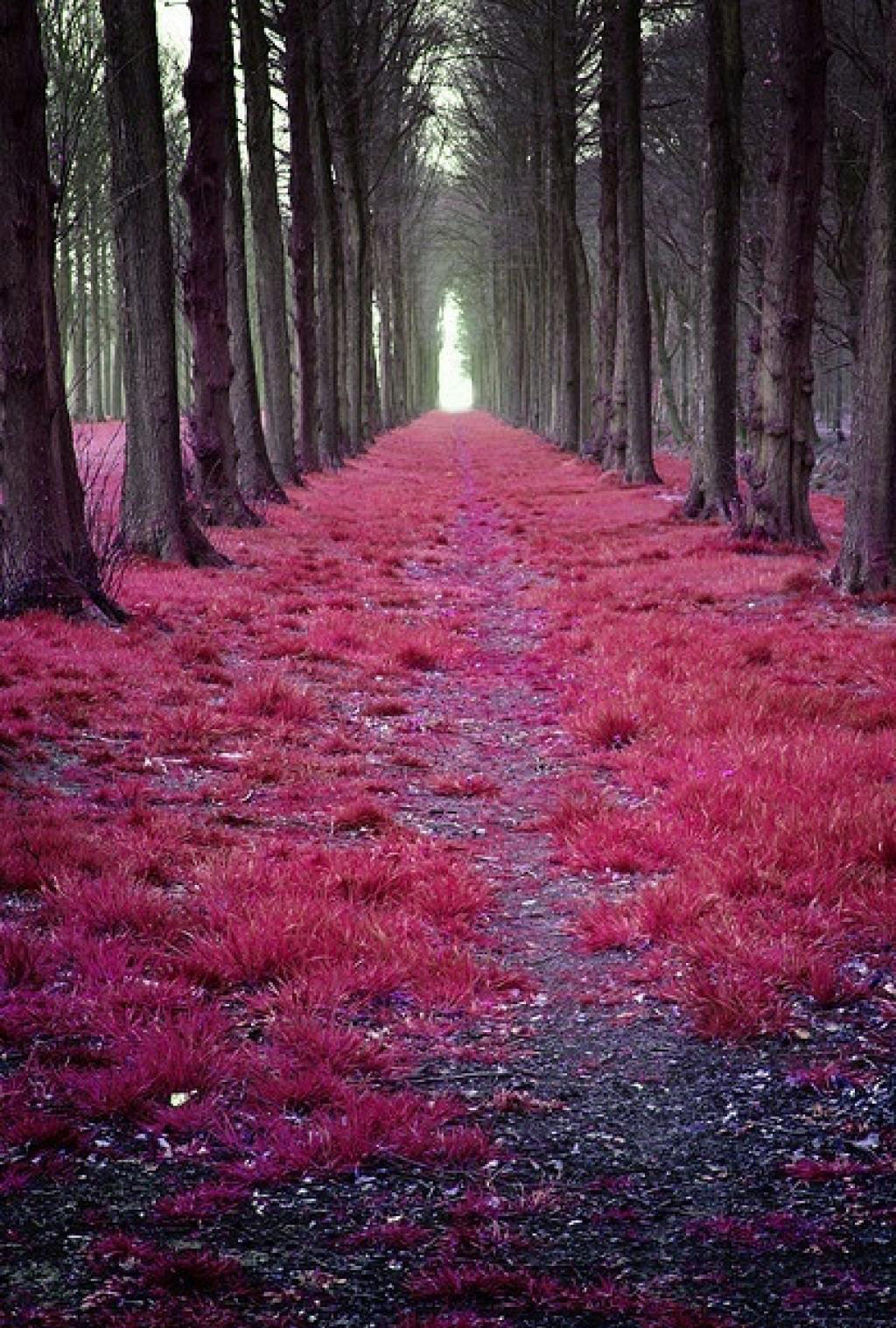 Picture 13 of 100 beautiful and spectacular places in the world (Part 3)
