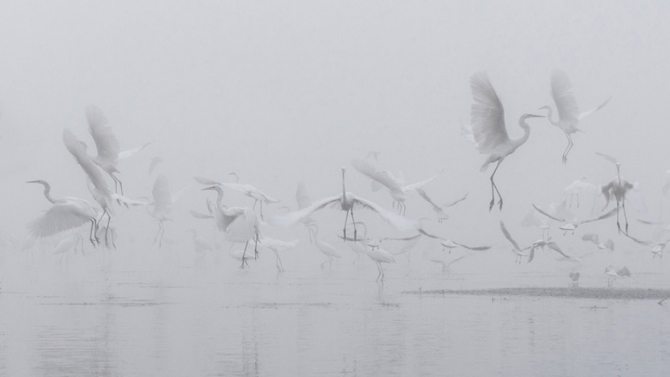 Picture 18 of 100 beautiful, unbelievable photos, never before photoshop (part 2)