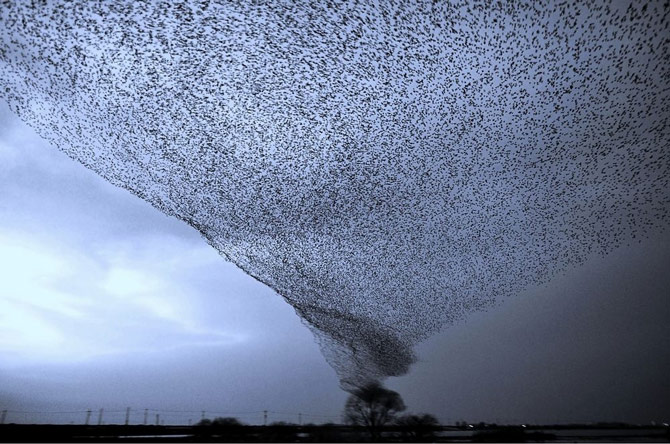 Picture 7 of 100 beautiful, unbelievable photos, never before photoshop (part 2)