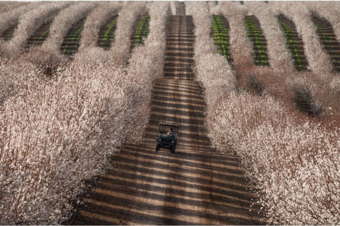Picture 22 of 100 beautiful, unbelievable photos, never before photoshop (part 3)