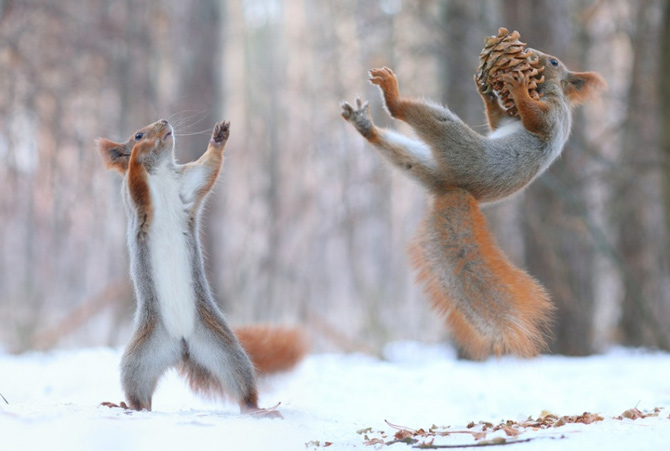 Picture 17 of 100 beautiful, unbelievable photos, never before photoshop (part 4)