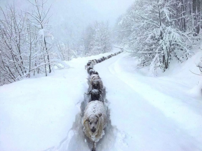Picture 18 of 100 beautiful, unbelievable photos, never before photoshop (part 4)