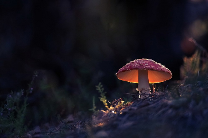 Picture 8 of 100 beautiful, unbelievable photos, never before photoshop (part 4)