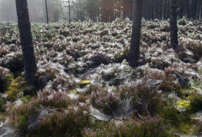 Picture 10 of 100 beautiful, unbelievable photos, never before photoshop