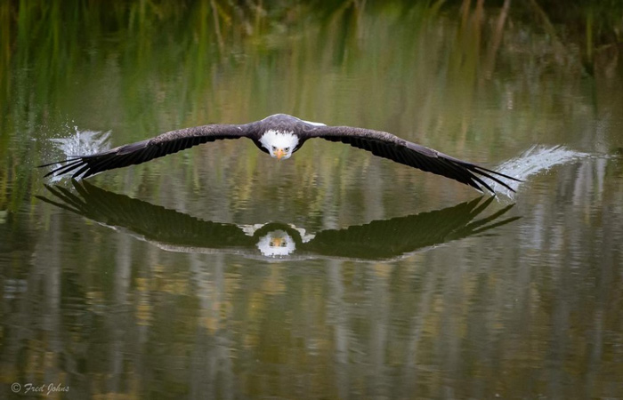 Picture 13 of 100 beautiful, unbelievable photos, never before photoshop