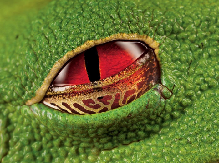 Picture 15 of 100 beautiful, unbelievable photos, never before photoshop