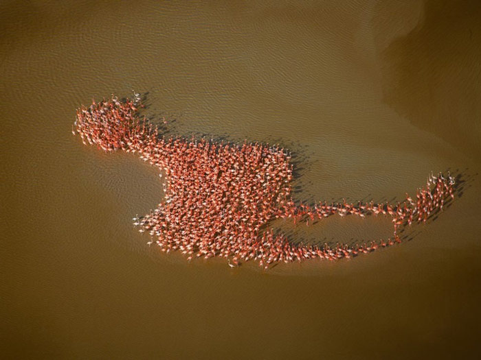 Picture 20 of 100 beautiful, unbelievable photos, never before photoshop