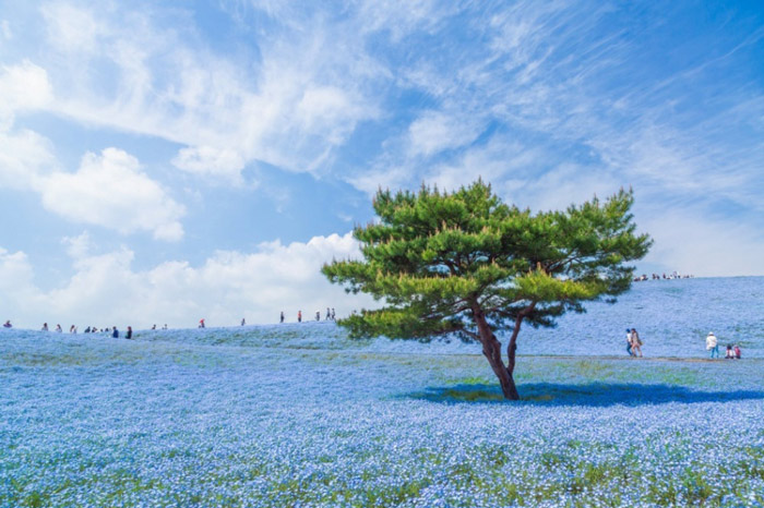 Picture 9 of 100 beautiful, unbelievable photos, never before photoshop