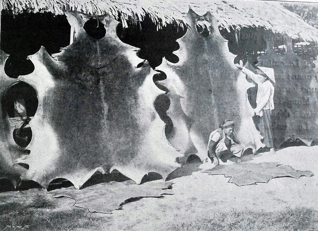 Picture 13 of 100 years ago, what Vietnamese people did for a living?