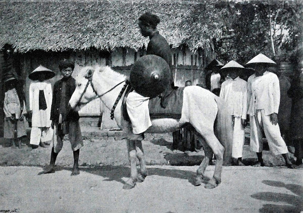 Picture 16 of 100 years ago, what Vietnamese people did for a living?