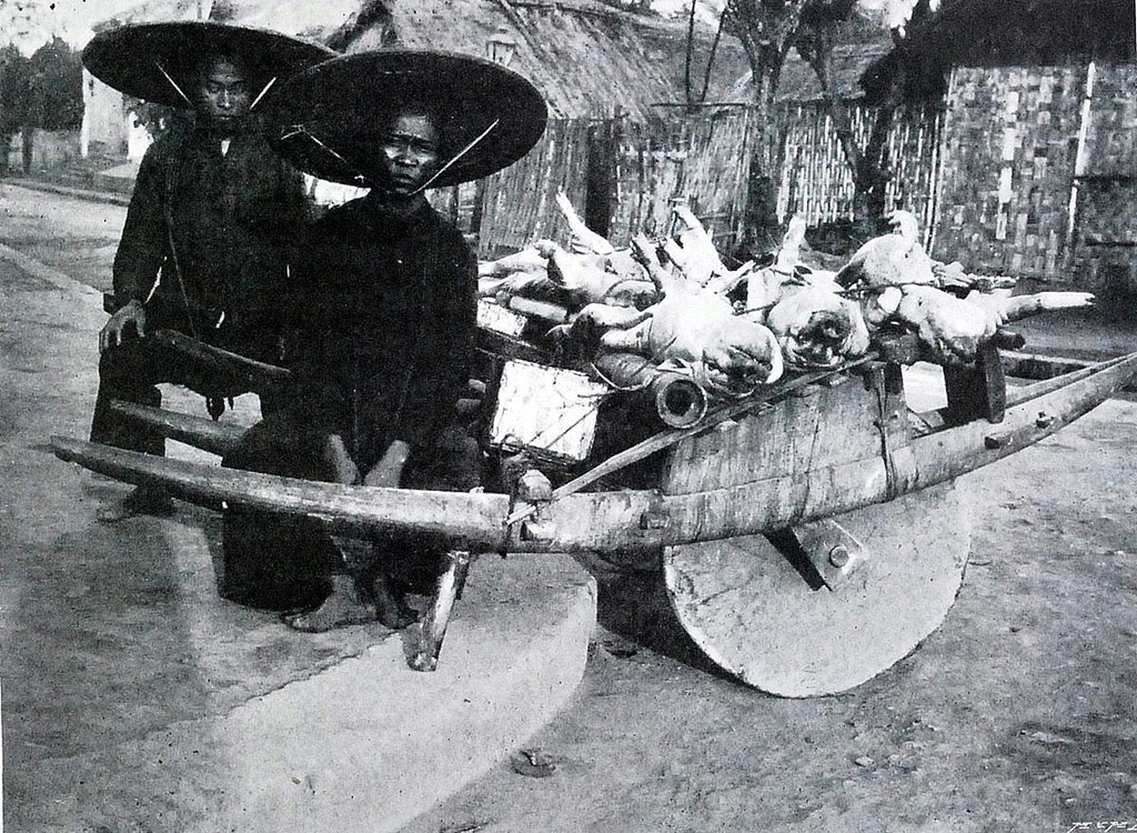 Picture 9 of 100 years ago, what Vietnamese people did for a living?