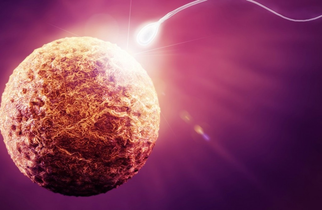 Picture 1 of 11 interesting facts about the human body not everyone knows