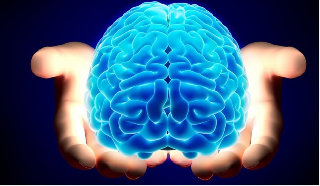 Picture 7 of 11 interesting facts about the human body not everyone knows