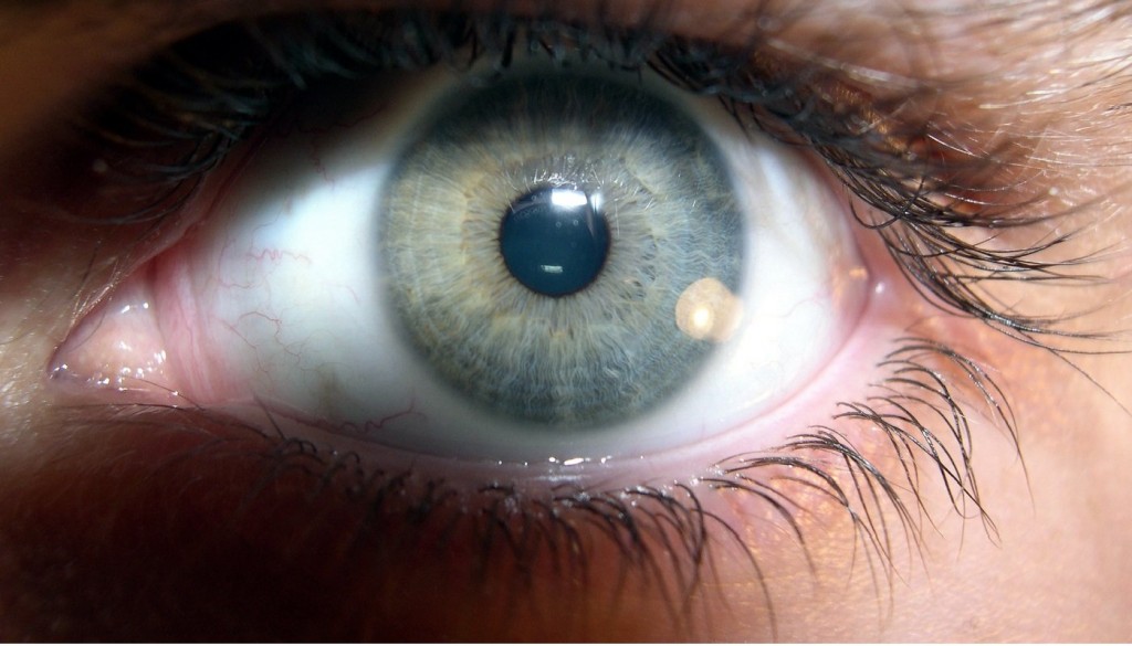 Picture 9 of 11 interesting facts about the human body not everyone knows