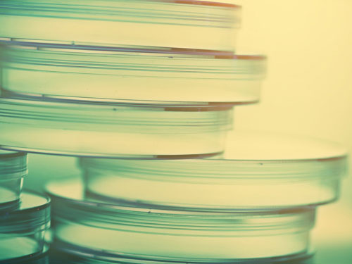 Picture 11 of 11 interesting scientific facts