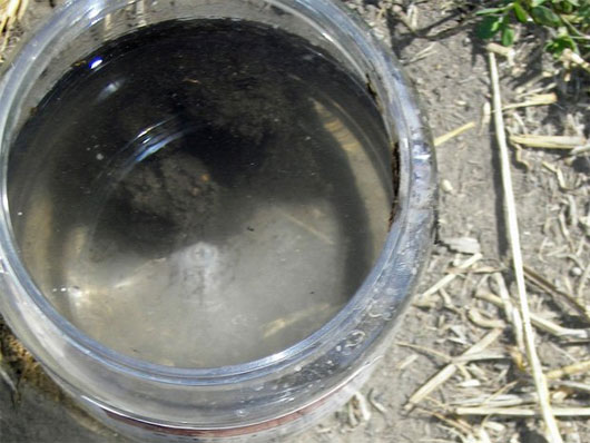 Picture 5 of 11 reasons mosquitoes are the most dangerous species on Earth