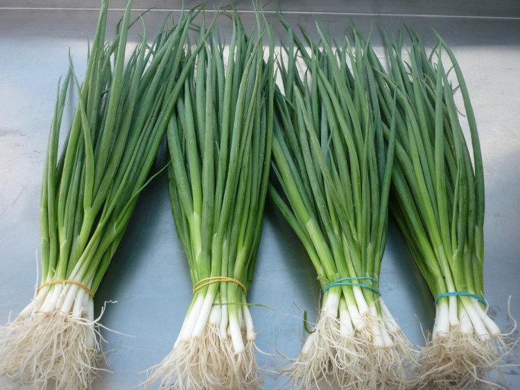 Picture 4 of 11 types of diseases just need to use 1 onion to cure and very few side effects