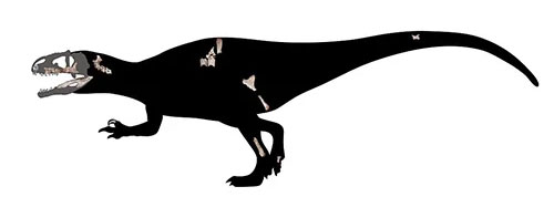 Picture 1 of 114 million-year-old fossils reveal new 'super beasts'