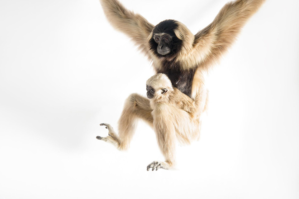 Picture 9 of 12 beautiful pictures of mother and daughter in the animal world