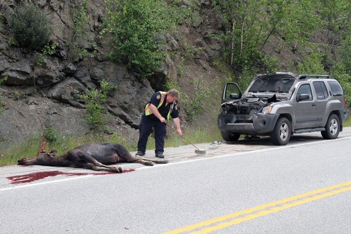Picture 1 of 12 facts that few people know about Canada