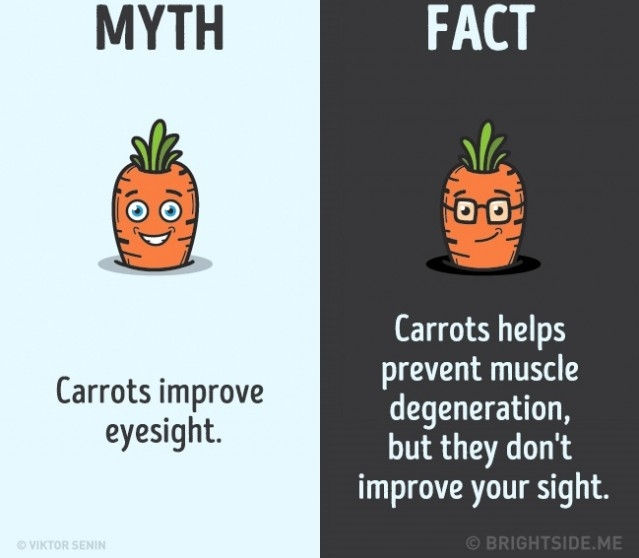Picture 10 of 12 false perceptions you still believe is true