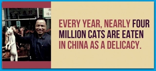 Picture 10 of 12 horrible things about China you may not know