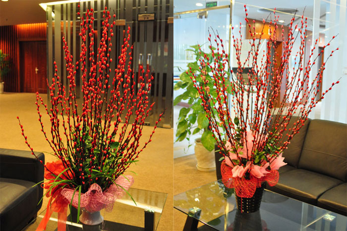 Picture 10 of 12 kinds of ornamental plants bring fortune to the house on Tet holiday