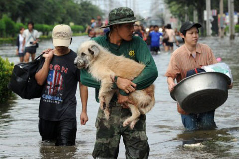 Picture 1 of 12 million Bangkok people are worried about flooding