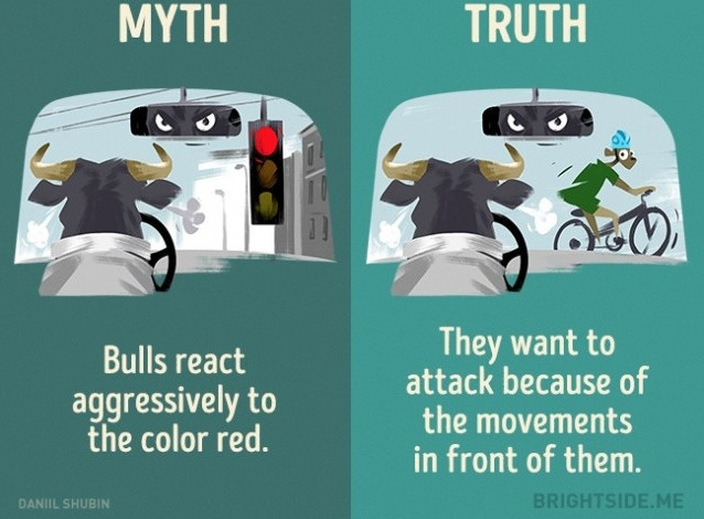 Picture 2 of 12 misconceptions about animals