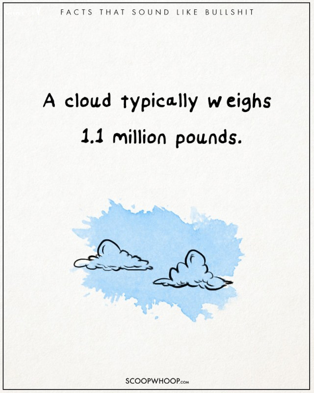 Picture 11 of 12 'super fun' facts that amaze you