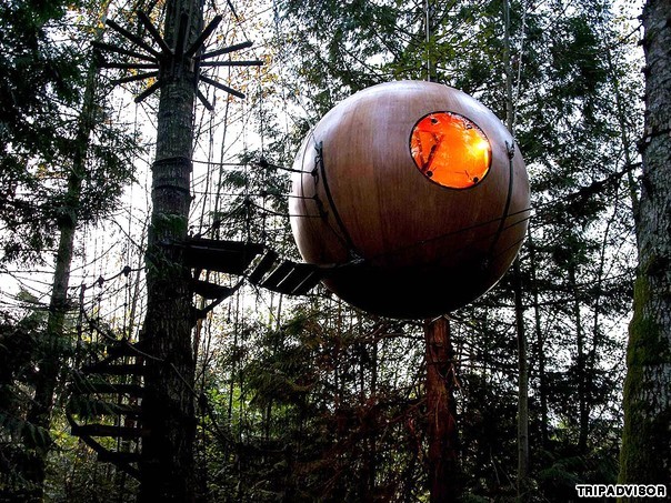Picture 8 of 12 unbelievable floating hotels exist in the world