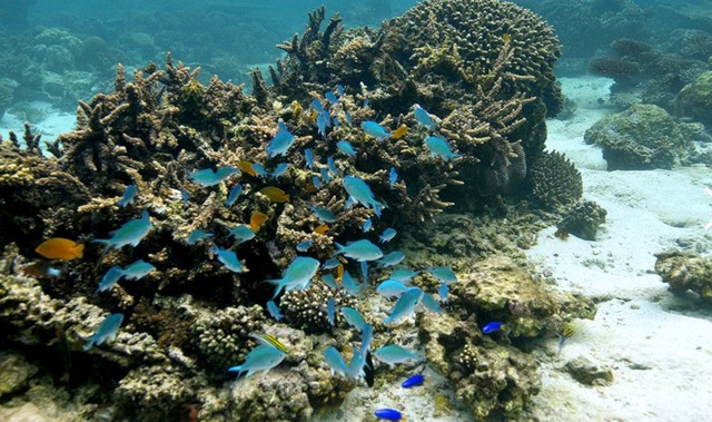 Picture 10 of 12 unique natural heritage of the world