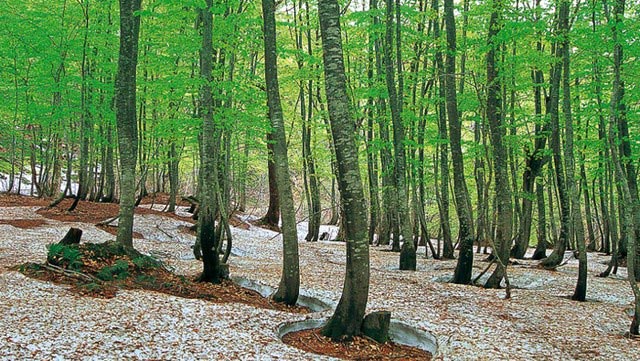 Picture 3 of 12 unique natural heritage of the world
