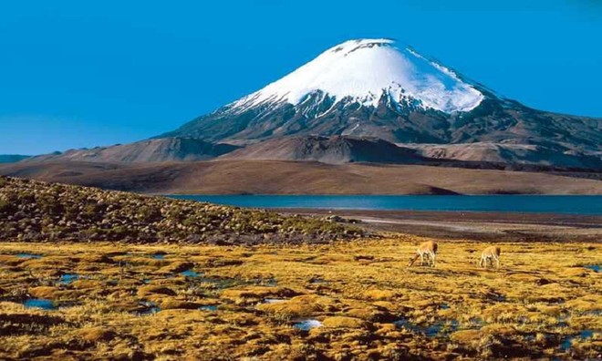 Picture 8 of 12 volcanoes make the world wary