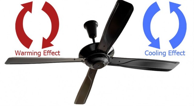 Picture 5 of 12 ways to make your home cooler in hot days