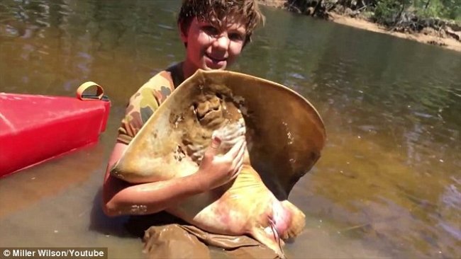 Picture 1 of 12-year-old boy gives birth to stingrays