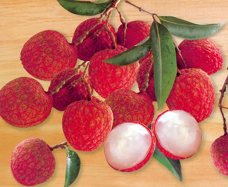Picture 4 of 13 great benefits of litchi for health and beauty