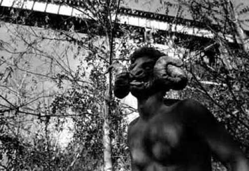 Picture 9 of 13 most terrifying and mysterious creatures in the world