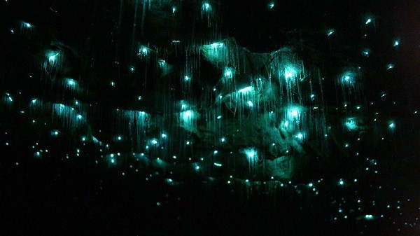 Picture 12 of 13 phenomena of miraculous light make you not believe your eyes