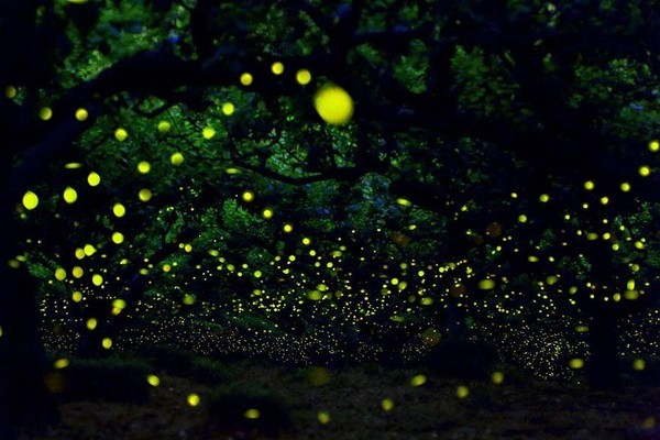 Picture 14 of 13 phenomena of miraculous light make you not believe your eyes