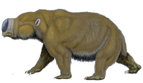 Picture 10 of 13 species of miraculous ancient mammals