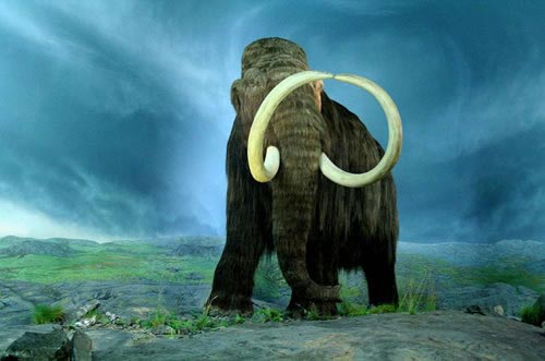 Picture 13 of 13 species of miraculous ancient mammals