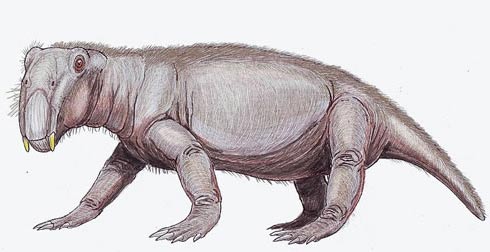 Picture 7 of 13 species of miraculous ancient mammals