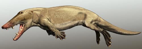 Picture 8 of 13 species of miraculous ancient mammals