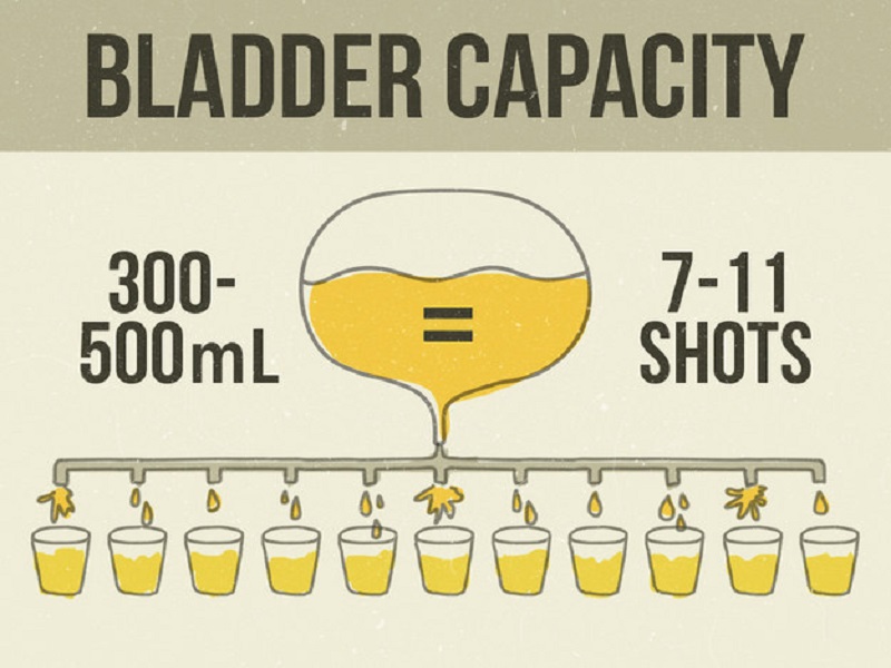 Picture 2 of 13 surprisingly interesting things about urine
