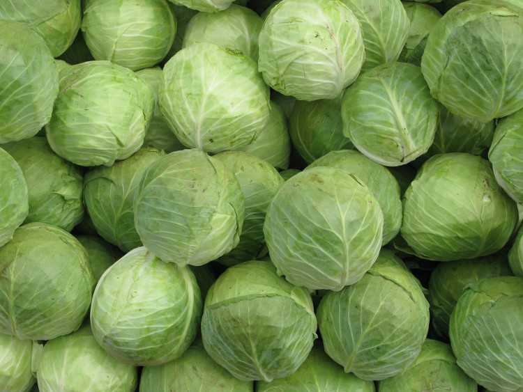 Picture 3 of 13 unknown uses of cabbage